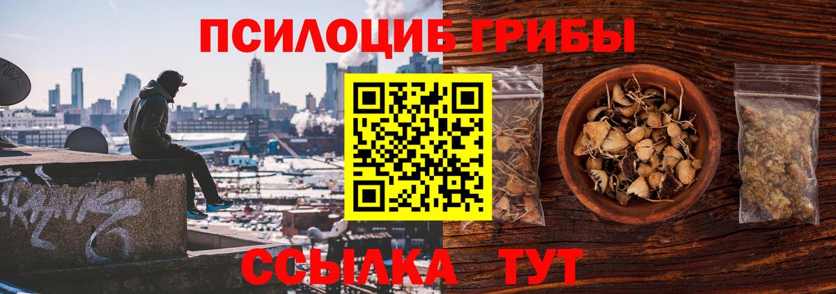 Псилоцибиновые грибы GOLDEN TEACHER  Вход с VPN  Дзержинск 